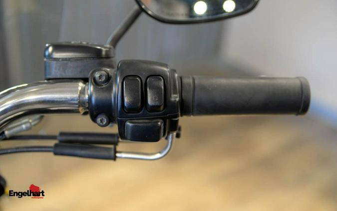 2010 Harley-Davidson Softail® Fat Boy® Lo