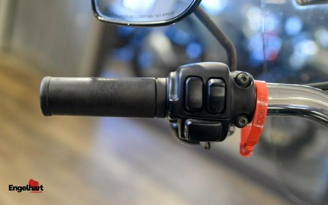 2010 Harley-Davidson Softail® Fat Boy® Lo