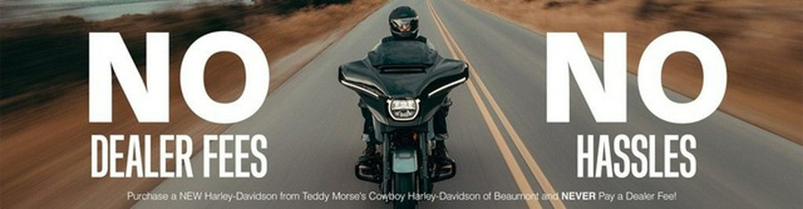 2025 Harley-Davidson FLTRX - Road Glide