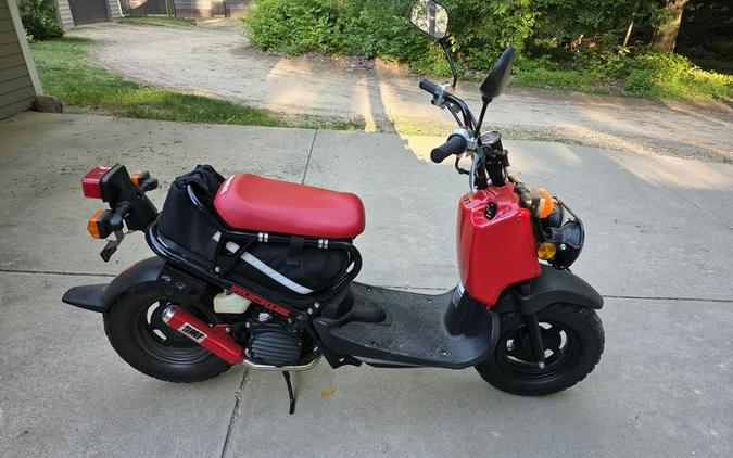 2013 Honda® Ruckus