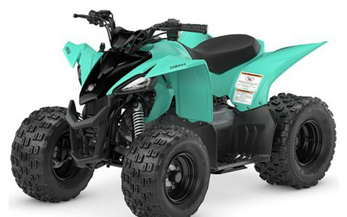 2024 Yamaha Motor Corp., USA YFZ50