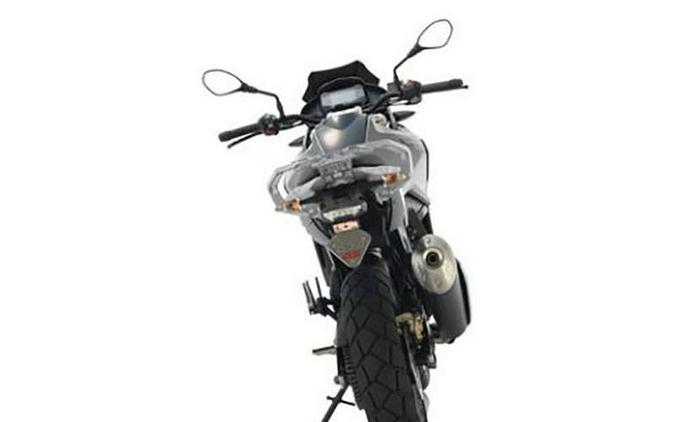 2019 BMW G 310 GS