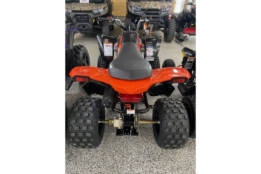 2024 Can-Am DS 250