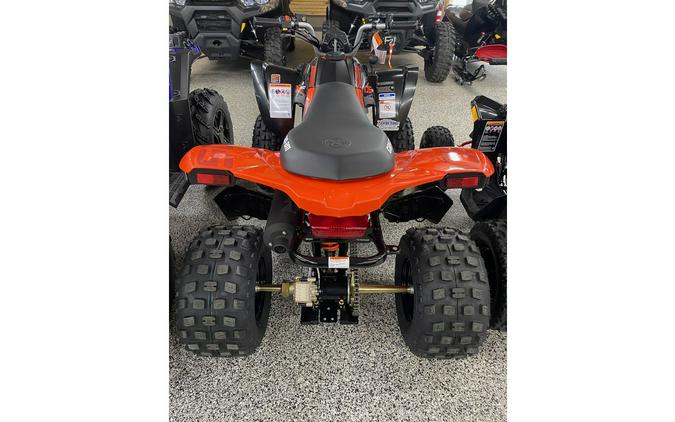 2024 Can-Am DS 250