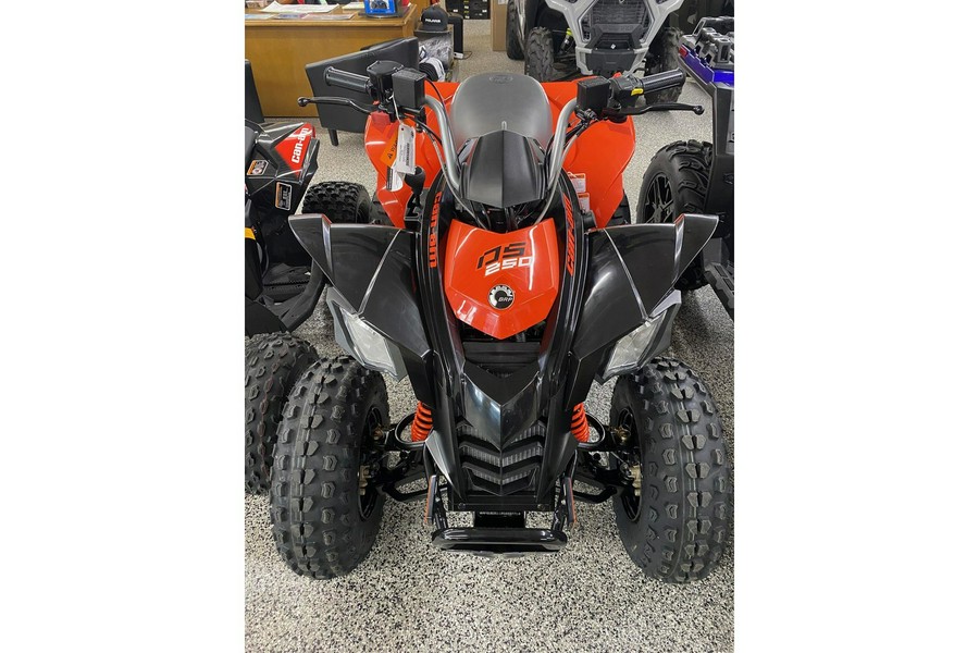 2024 Can-Am DS 250