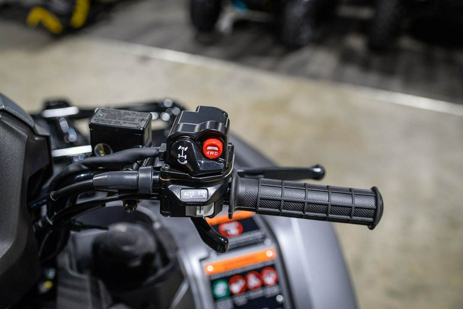 2026 Honda FourTrax Foreman Rubicon 4x4 Automatic DCT EPS Deluxe