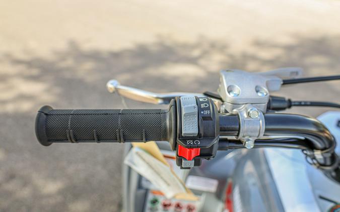 2026 YAMAHA RAPTOR 700