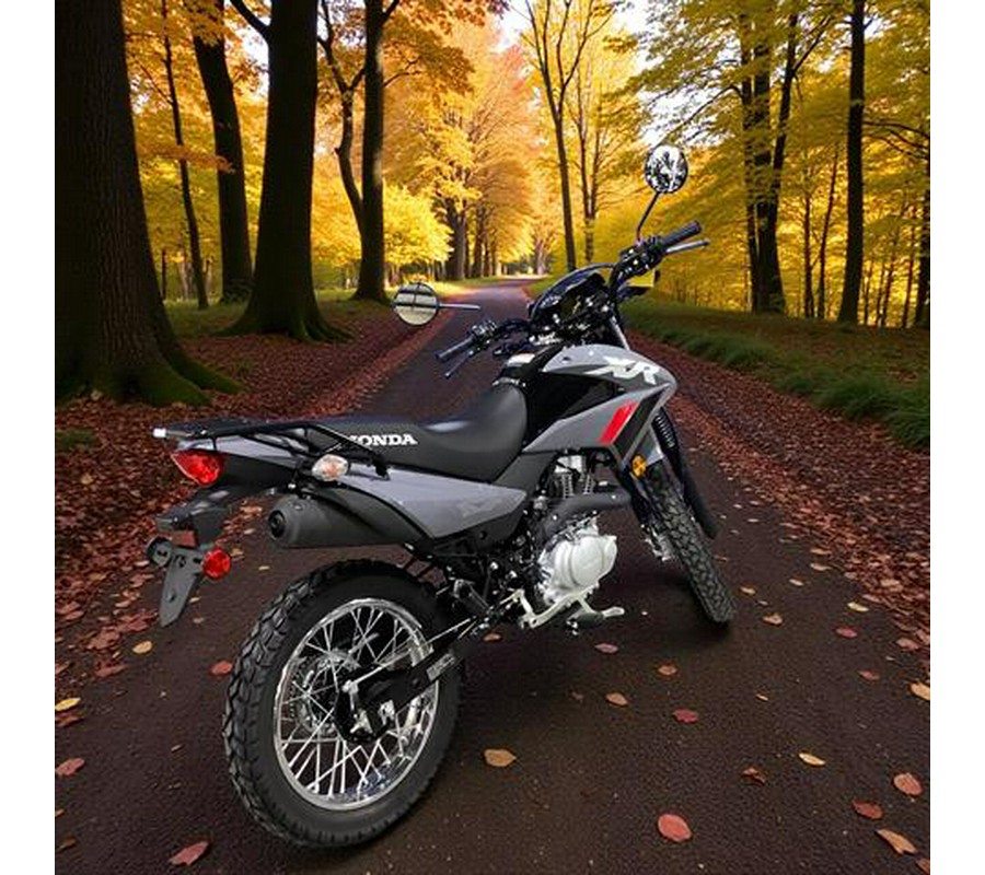 2025 Honda XR150L