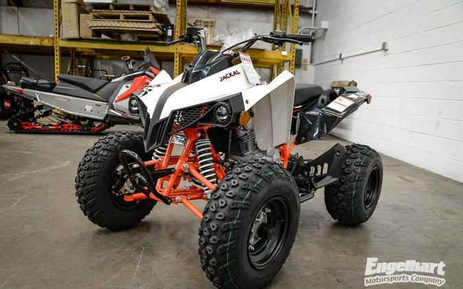 2021 Kayo Jackal 200