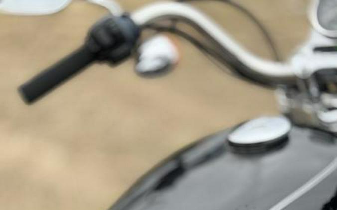 2009 Harley-Davidson® XL1200L - Sportster® 1200 Low