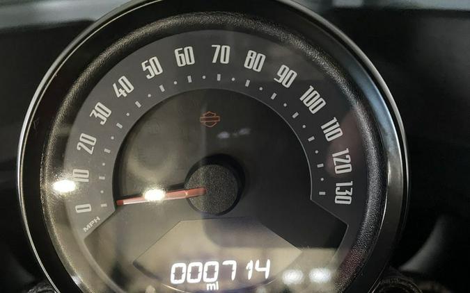 2025 Harley-Davidson® FXLRST - Low Rider® ST