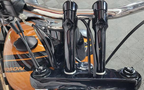2014 Harley Davidson Dyna FAT BOB