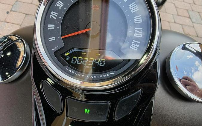 2021 Harley-Davidson® FLSL - Softail Slim®