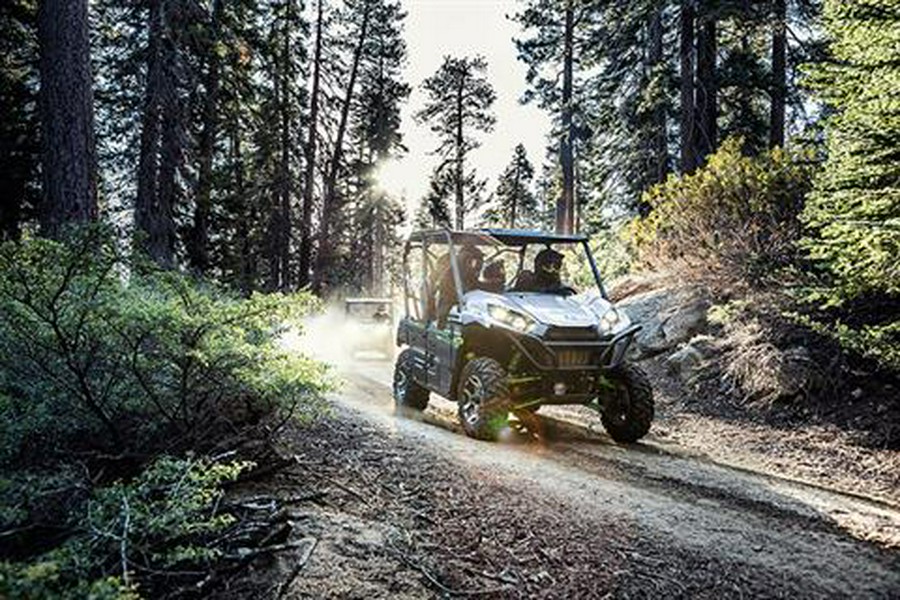 2017 Kawasaki Teryx4 LE