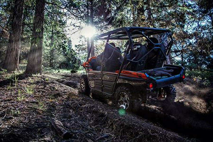 2017 Kawasaki Teryx4 LE