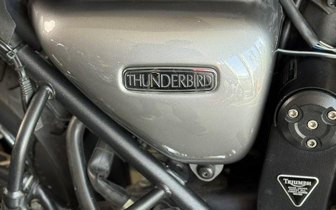 2002 Triumph Thunderbird 900