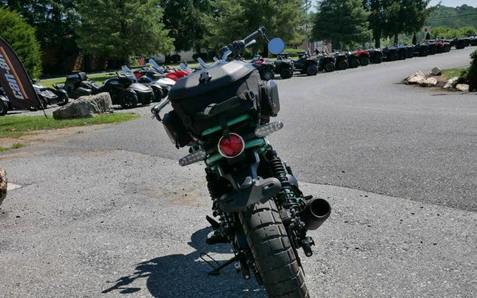 2025 Royal Enfield Bear 650 Two Four Nine