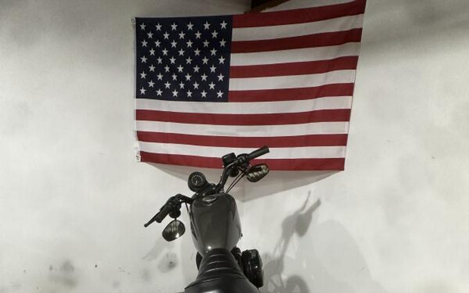 2019 Harley-Davidson Iron 883 Industrial Gray