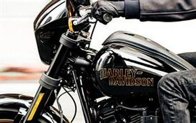 2022 Harley-Davidson Low Rider® S