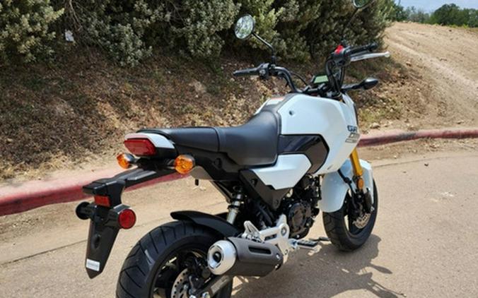 2026 Honda Grom