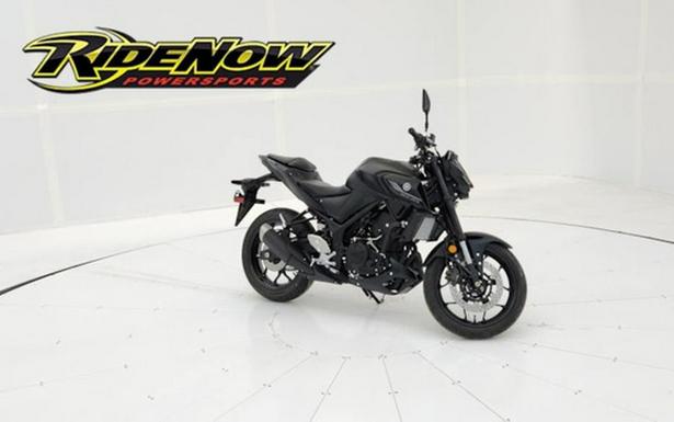 2024 Yamaha MT 03