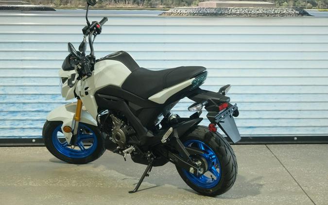 2026 Kawasaki Z125 PRO