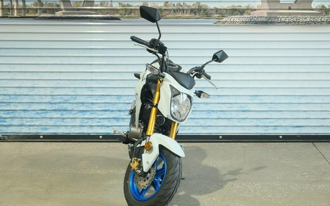 2026 Kawasaki Z125 PRO