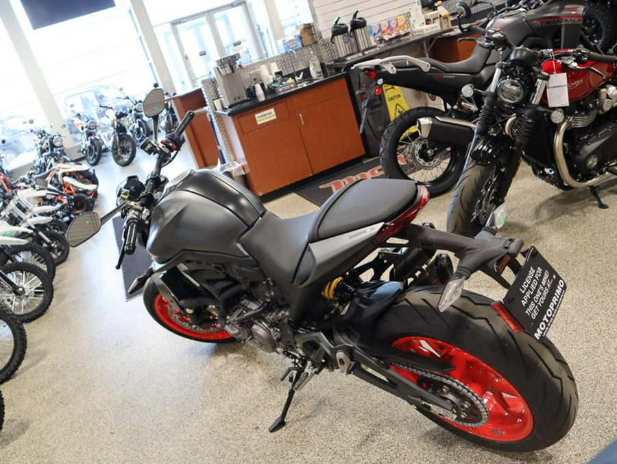 2024 Ducati Monster Plus Aviator Grey