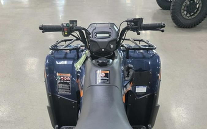 2026 Kawasaki Brute Force 300