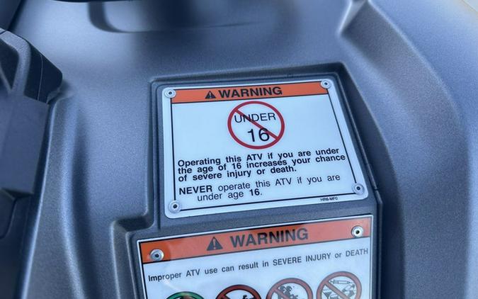 2025 Honda FourTrax Foreman Rubicon 4x4 EPS Matte Gray Metall 4x4 EPS