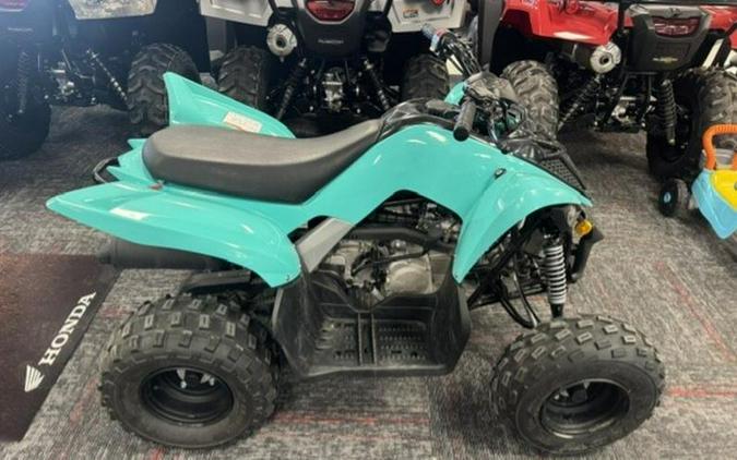 2025 Yamaha Raptor 110