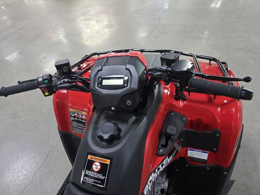 2026 Kawasaki Brute Force 300