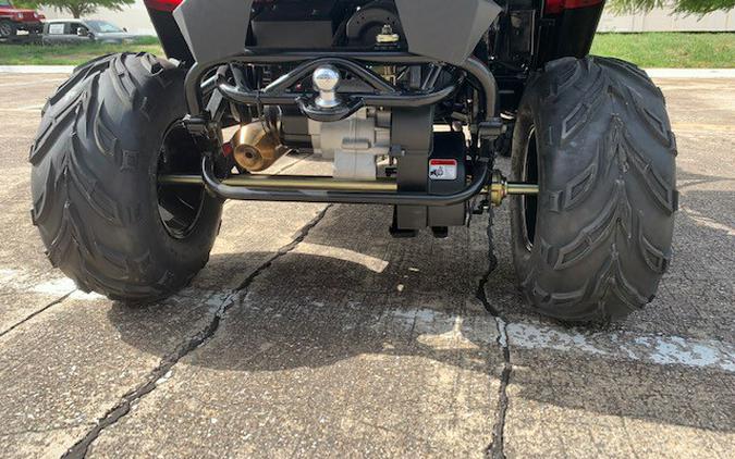 2026 TrailMaster CHALLENGER 200 EX EFI