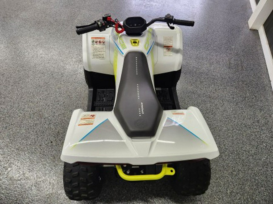 2024 CFMOTO CForce EV110