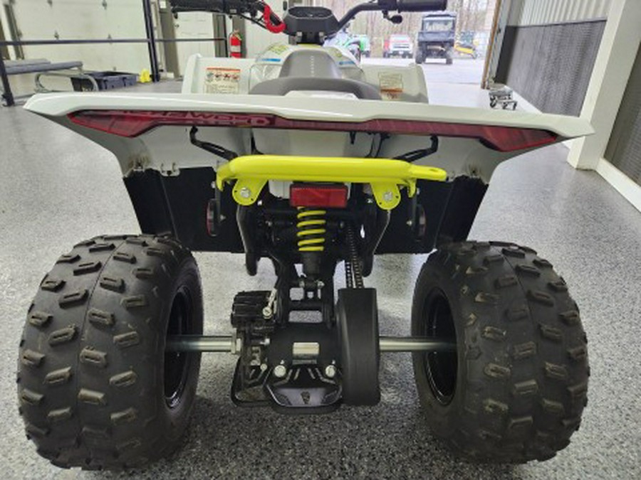 2024 CFMOTO CForce EV110