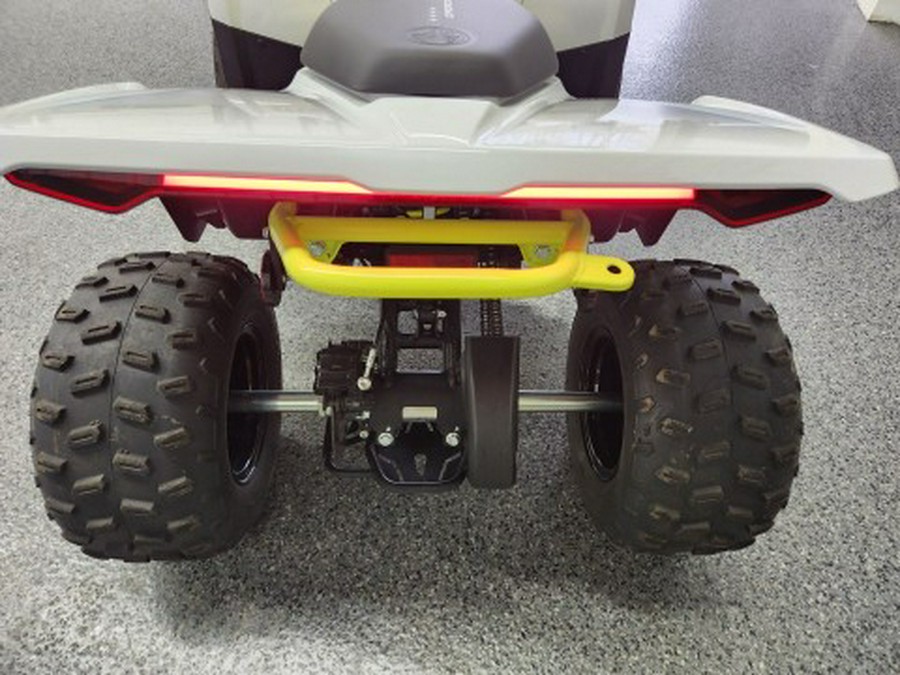 2024 CFMOTO CForce EV110