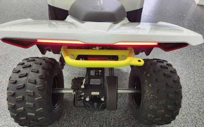 2024 CFMOTO CForce EV110