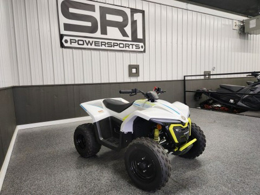2024 CFMOTO CForce EV110