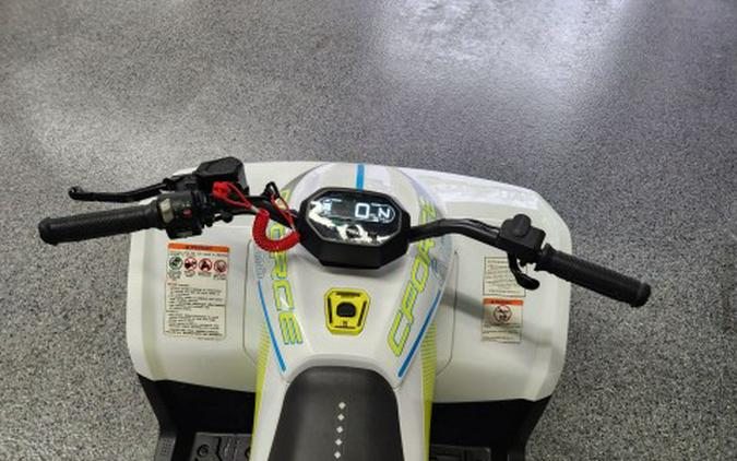 2024 CFMOTO CForce EV110