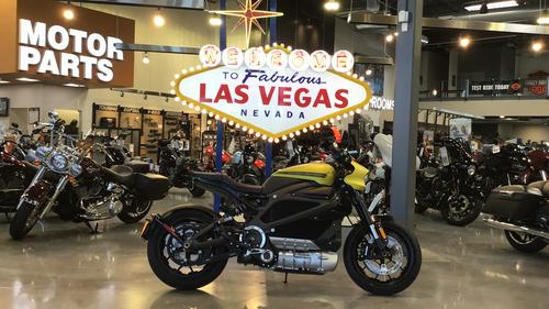 2020 Harley-Davidson LiveWire First Ride