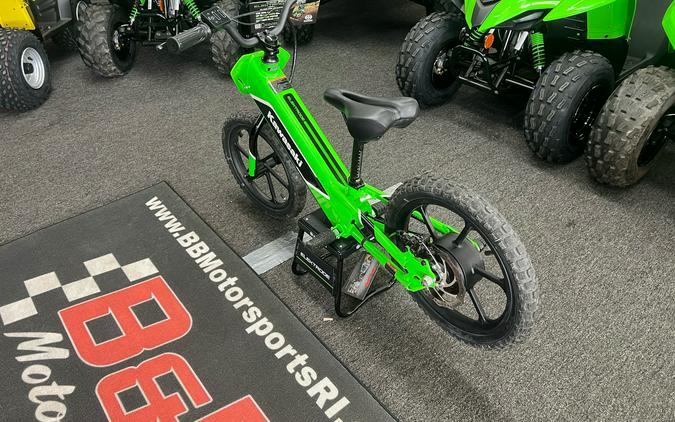 2023 Kawasaki Elektrode