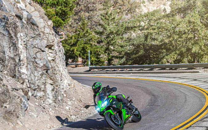 2023 Kawasaki Ninja 650 First Look Preview