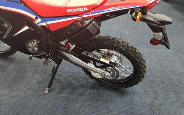 2024 Honda® CRF300L Rally