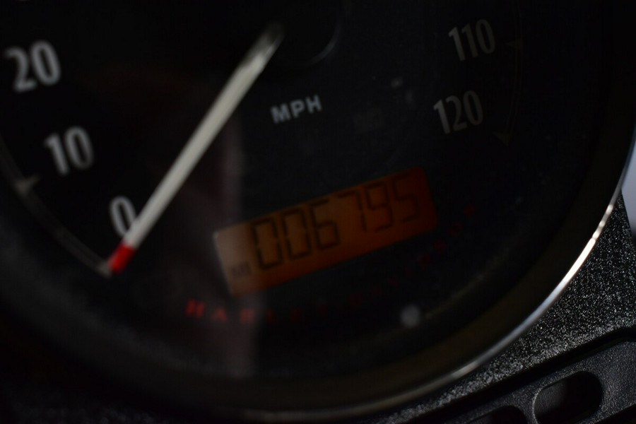 2022 Harley-Davidson Iron 883 XL 883N