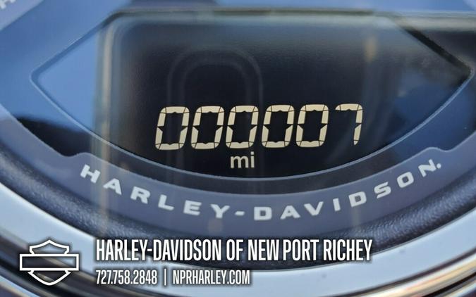 2025 Harley-Davidson® Fat Boy®