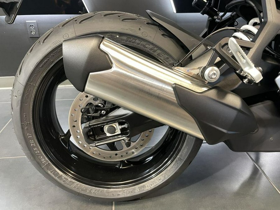 New 2026 Triumph TIGER SPORT 800