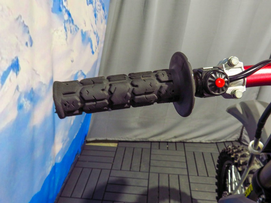 2024 Kawasaki KLX 300R