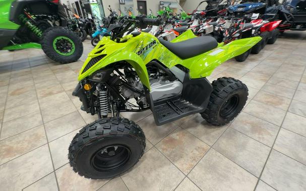 2026 Yamaha RAPTOR 110