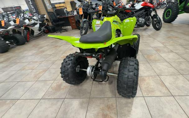 2026 Yamaha RAPTOR 110