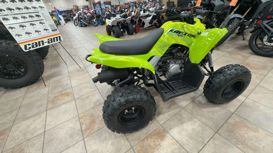 2026 Yamaha RAPTOR 110